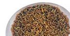 Cumin Seeds for Cooking, Seasoning