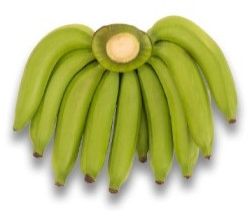 Cavendish Banana