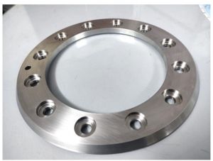 Seal Retainer Ring for Triple Offset Butterfly Valves (Tobv)