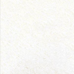 800 X 800m Jasper White Tiles