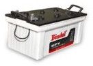 Bindal 12V Tubular Batteries