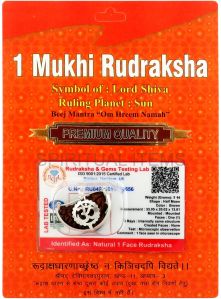 1 Mukhi Rudraksha Pendant