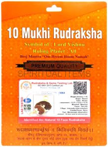 10 Mukhi Rudraksha Pendant