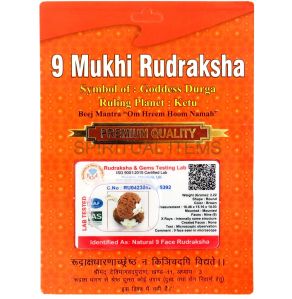 Rudraksha Beads