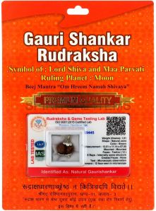 Gauri Shankar Rudraksha Pendant