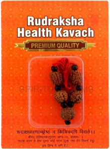 Health Kavach Rudraksha