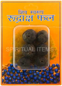 Rudraksha Fruit Standard, Packaging Type : Brown for Religious