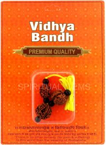 Vidhya Bandh Rudraksha