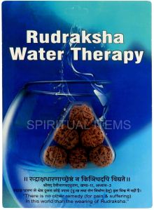 Water Therapy Rudraksha Standard