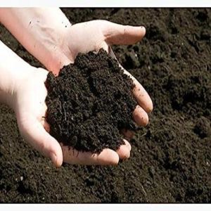 Organic Cow Dung Manure