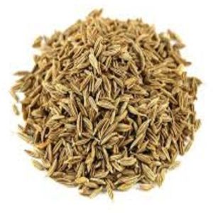 Singapore Quality Cumin Seeds