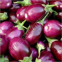 Natural Fresh Brinjal, Color : Purple for Cooking Use