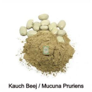Mucuna Pruriens Powder, Packaging Type : Brown