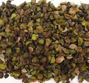 Natural Dry Sal Seed