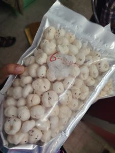 raw makhana raw makhana