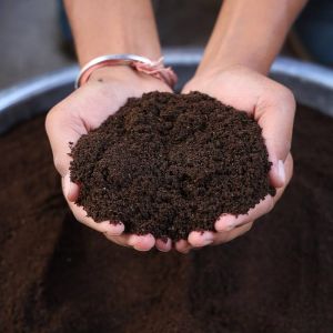 Organic Vermicompost 25KG - Fertilizer Khad