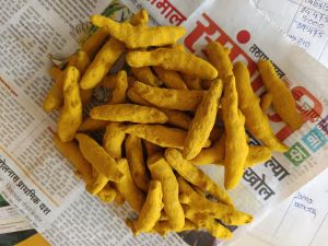 Natural Dried Turmeric Finger, Packaging Size : 10Kg, 25Kg