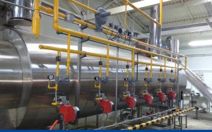 Indian Mild Steel Fuel Industrial Steam Boilers, Color : Grey