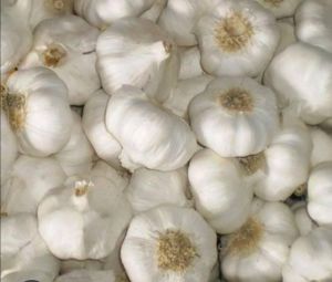 Garlic for Kitchen consumed