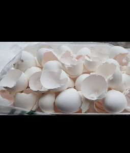 White Egg Shell White Egg Shell