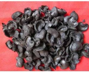 Cashew Nut Shells, Color : Black, Packaging Type : Loose