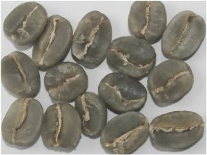 Arabica Plantation AA Green Coffee Beans