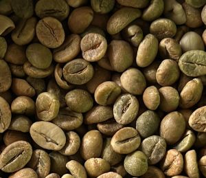 Robusta Cherry AA Green Coffee Beans