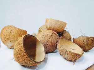 Natural Coconut Shell, Color : Brown Dried