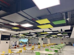 Tranquil Acoustics Baffle Ceilings