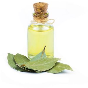 Bay Leaf Oil, Color : Pale Yellow