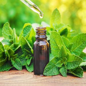 Peppermint Liquid Extract, Color : Green