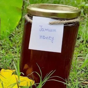 Organic Jamun Honey, Color : Brown, Form : Gel