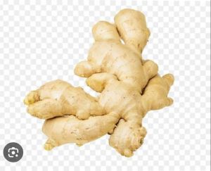 Common Ginger, Packaging Size : 4 Kg Net Bag