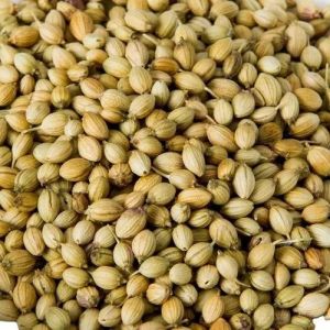 coriander seeds
