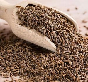 cumin seeds