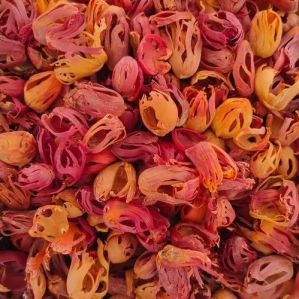 Dried Mace, Packaging Type : Reddish-orange