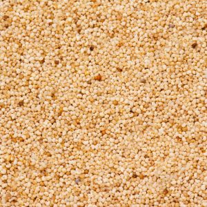 Food Grade Poppy Seeds, Packaging Size : 5-25kg 9%
