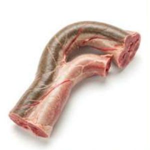 Frozen Buffalo Aorta