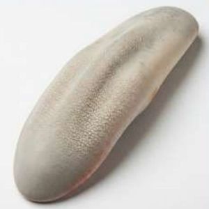 Frozen Buffalo Tongue