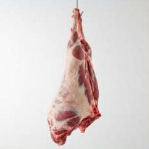 Frozen Mutton Carcass
