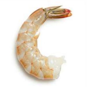 Frozen Sea White Shrimp