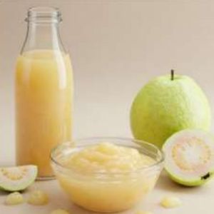 White Guava Puree Concentrate