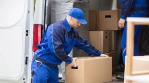 Loading and Unoading Services