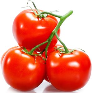 Natural Tomato, Color : Red, Packaging Size : 5Kg, 25Kg