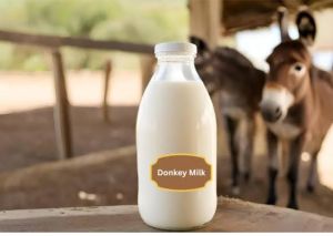 donkey milk