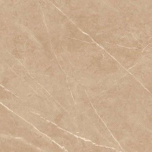 800x800mm Porcelain Tiles