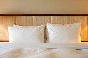 300 GSM My Trident Quilt