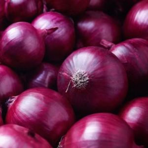 fresh red onion