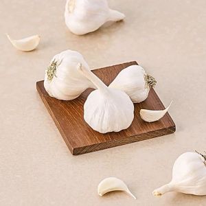 Fresh White Garlic