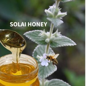Kashmiri Solai Honey